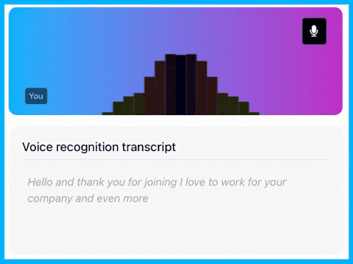 Speech recognition visualisation